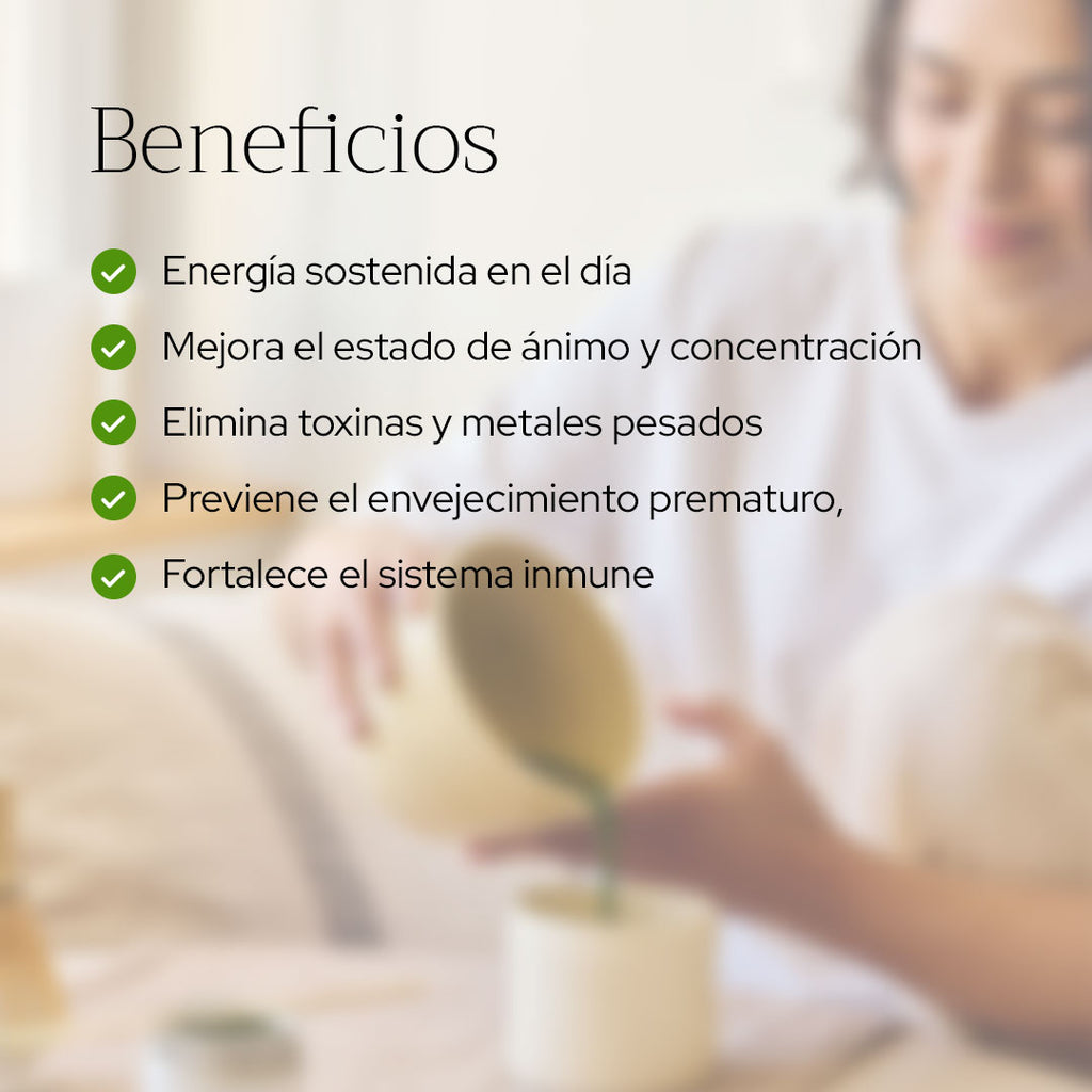 Matcha culinario orgánico 50g