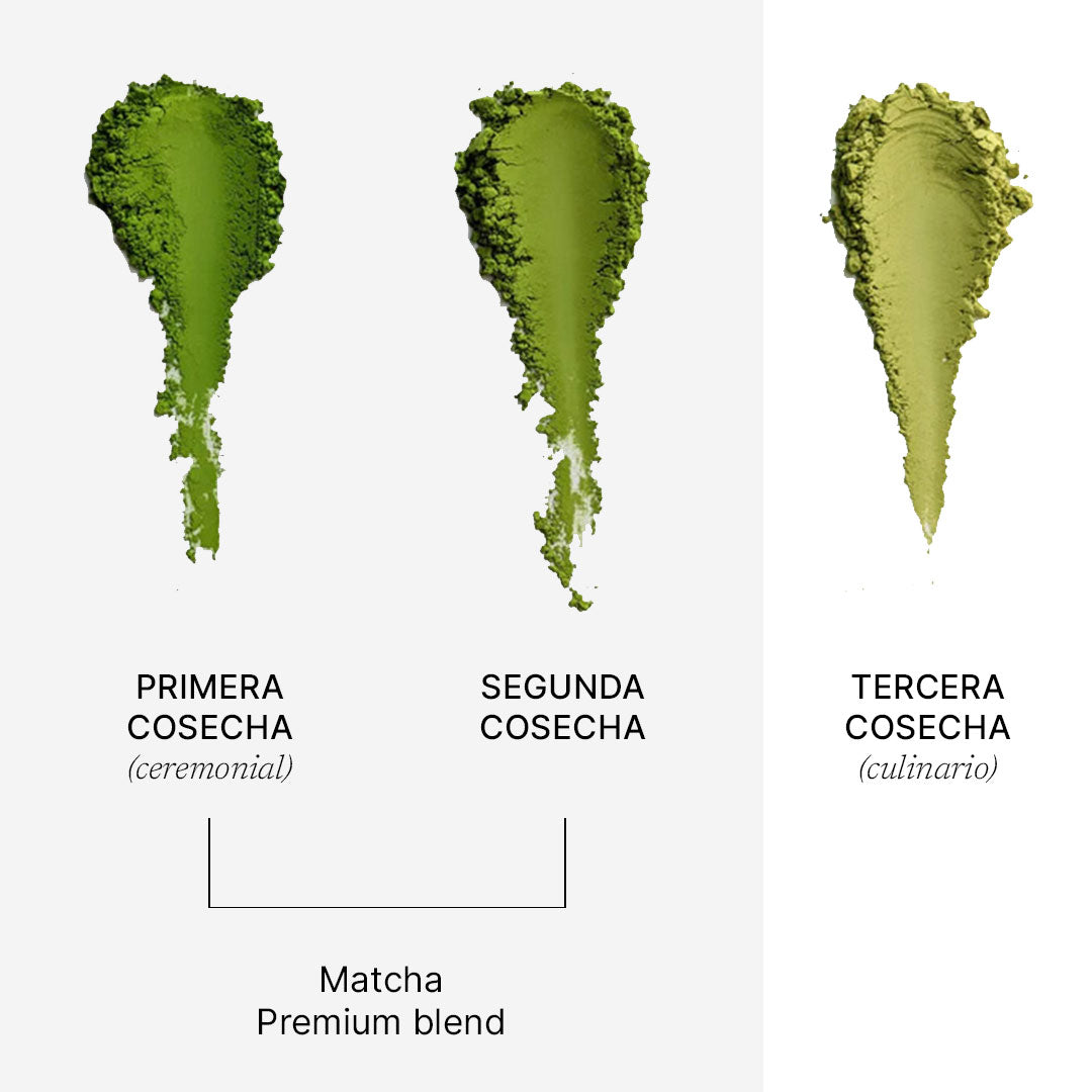 Matcha Premium blend 100g