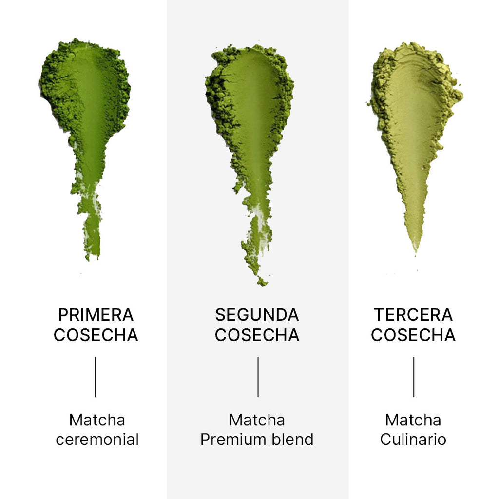 Matcha Premium blend 100g